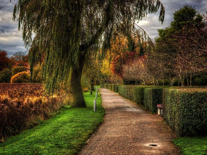 testA TP-Link Kit Powerline Gigabit Passthrough, HomePlug AV2,IEEE 1901, - imagine 3